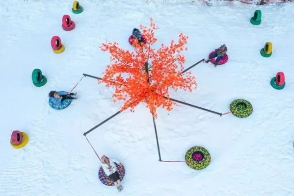 在银装素裹的雪地中，探寻神秘的雪地小球球奇遇与乐趣的冒险之旅